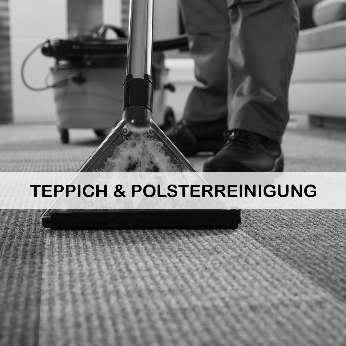 Teppichreiniger und Polsterreiniger in einem